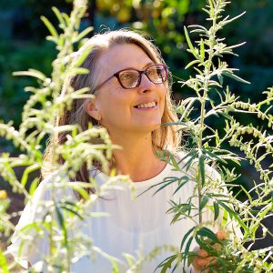 Celebrating Herbal Medicine Week - Discover the Healing Garden