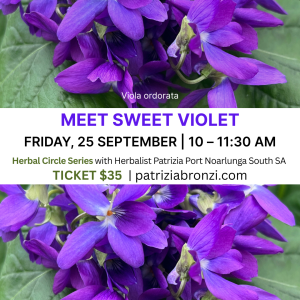 Herbal Circle Series - Meet Sweet Violet